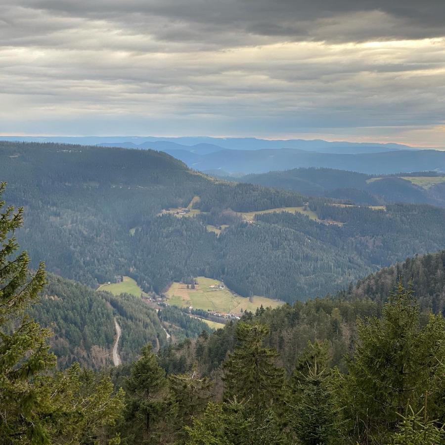 Schwarzwald Wohnung Kniebis Freudenstadt Eksteriør bilde